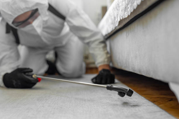 Professional Cockroach Control technician working in Johnson County County, IA